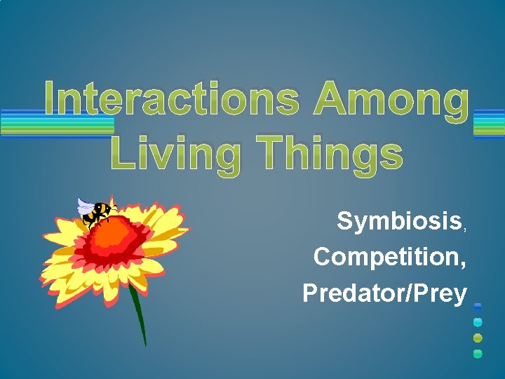 Interactions Among Living Things Symbiosis, Competition, Predator/Prey 