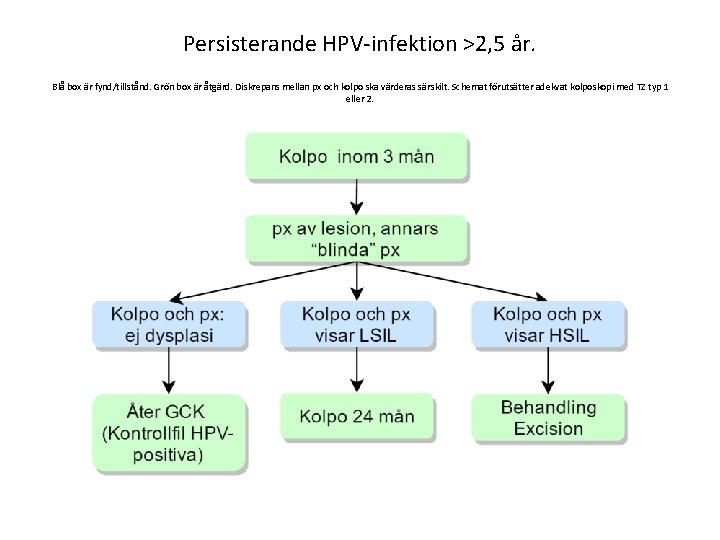 Persisterande HPV-infektion >2, 5 år. Blå box är fynd/tillstånd. Grön box är åtgärd. Diskrepans Persisterande HPV-infektion >2, 5 år. Blå box är fynd/tillstånd. Grön box är åtgärd. Diskrepans