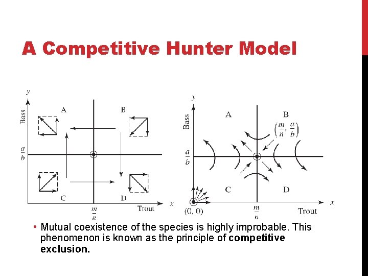 A Competitive Hunter Model • Mutual coexistence of the species is highly improbable. This