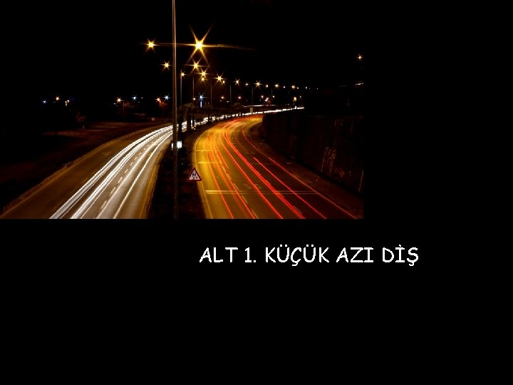 ALT 1. KÜÇÜK AZI DİŞ 