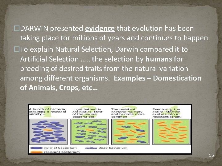 �DARWIN presented evidence that evolution has been taking place for millions of years and