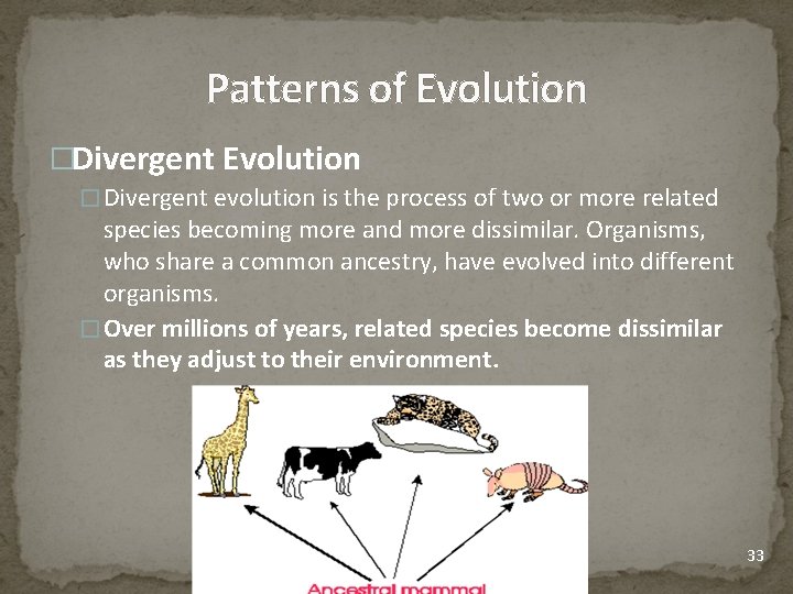 Patterns of Evolution �Divergent evolution is the process of two or more related species