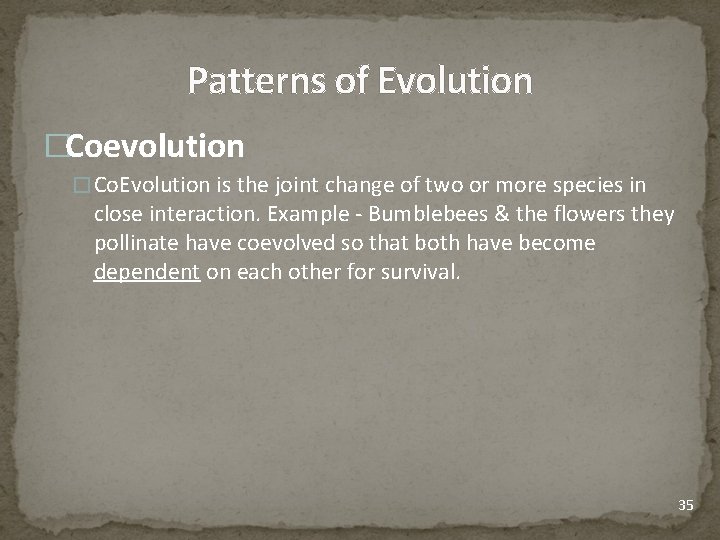Patterns of Evolution �Coevolution �Co. Evolution is the joint change of two or more