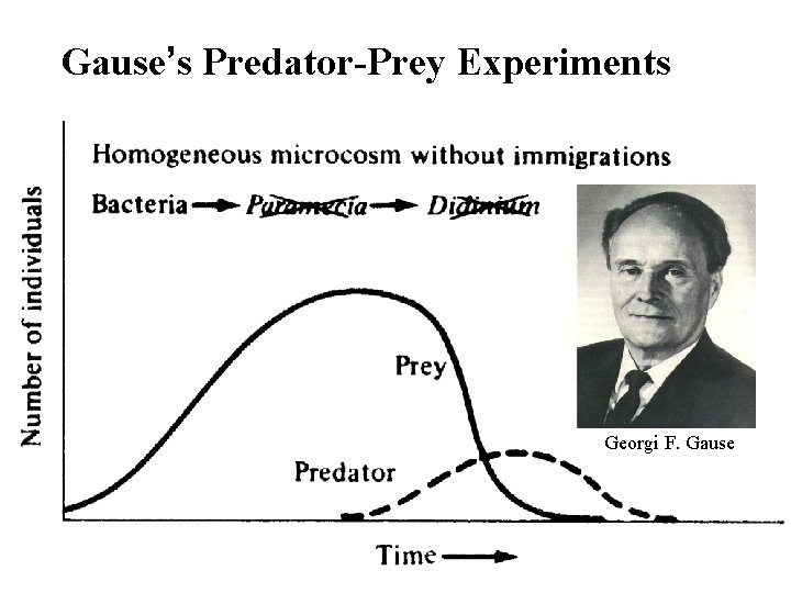 Gause’s Predator-Prey Experiments Georgi F. Gause 