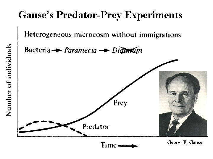 Gause’s Predator-Prey Experiments Georgi F. Gause 