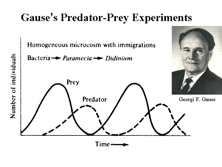 Gause’s Predator-Prey Experiments Georgi F. Gause 