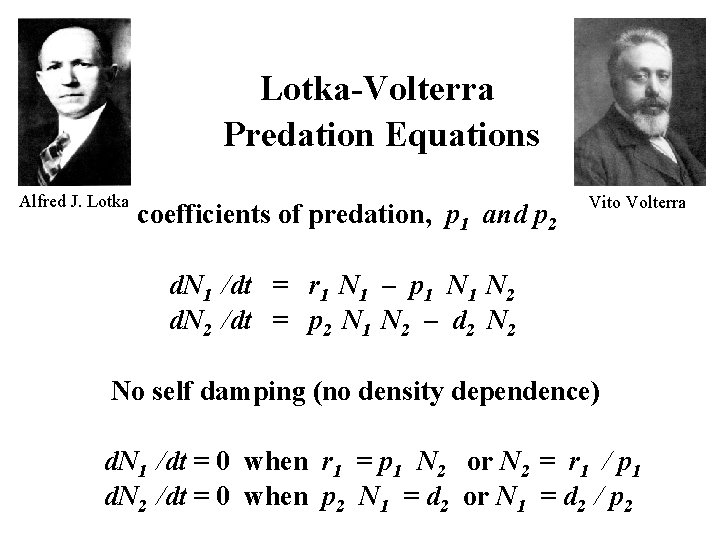 Lotka-Volterra Predation Equations Alfred J. Lotka coefficients of predation, p 1 and p 2