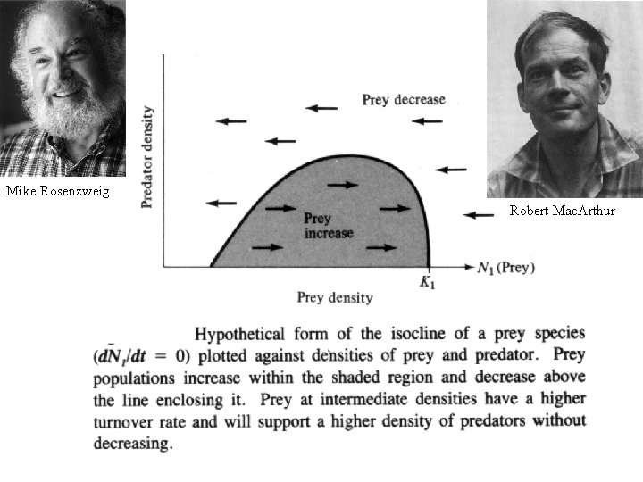 Mike Rosenzweig Robert Mac. Arthur 