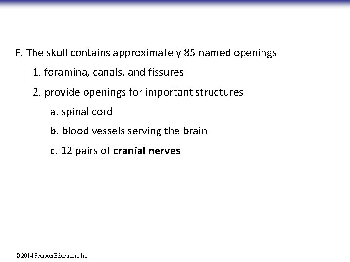 F. The skull contains approximately 85 named openings 1. foramina, canals, and fissures 2.
