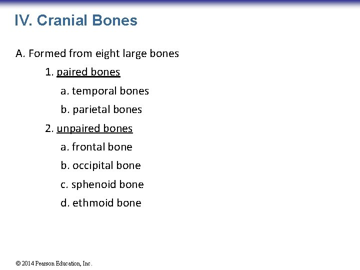 IV. Cranial Bones A. Formed from eight large bones 1. paired bones a. temporal