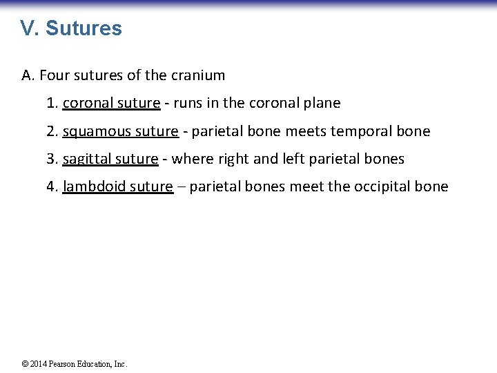 V. Sutures A. Four sutures of the cranium 1. coronal suture - runs in