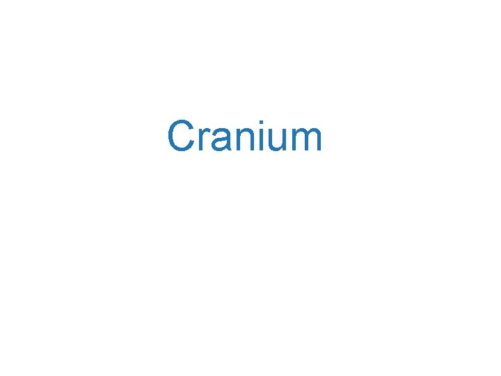 Cranium 