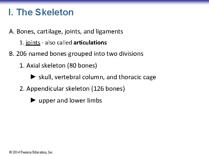 I. The Skeleton A. Bones, cartilage, joints, and ligaments 1. joints - also called