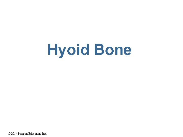 Hyoid Bone © 2014 Pearson Education, Inc. 