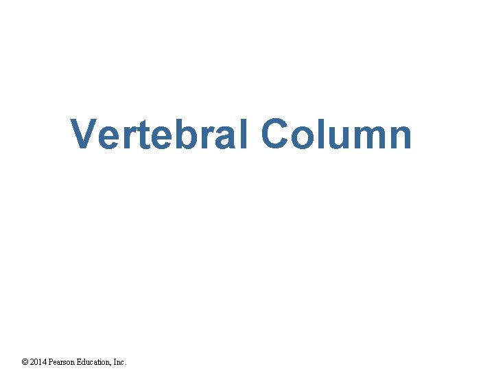 Vertebral Column © 2014 Pearson Education, Inc. 