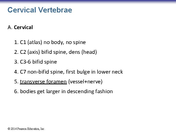 Cervical Vertebrae A. Cervical 1. C 1 (atlas) no body, no spine 2. C