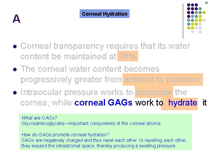 10 A l l Corneal Hydration Corneal transparency requires that its water content be