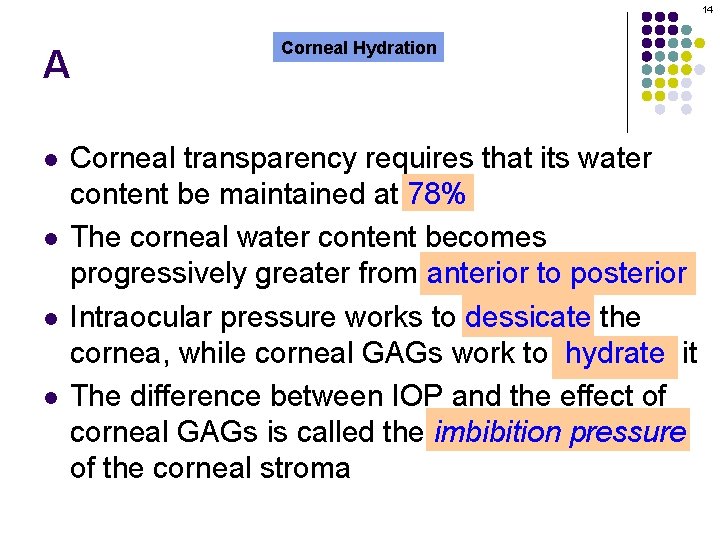 14 A l l Corneal Hydration Corneal transparency requires that its water content be