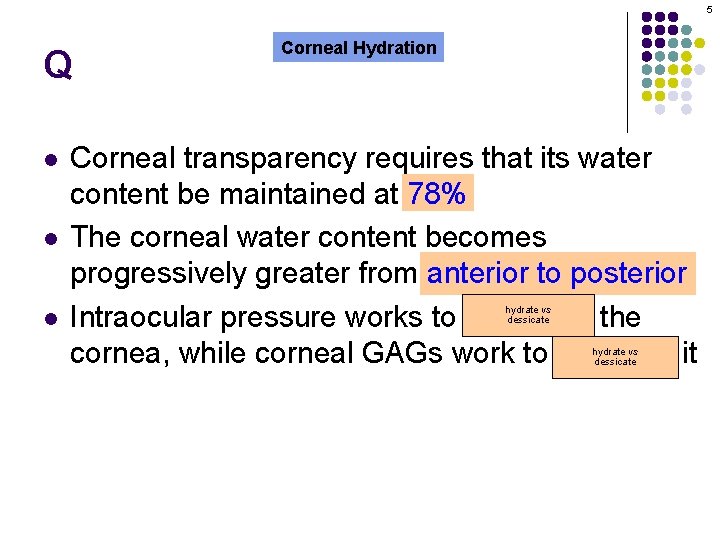 5 Q l l l Corneal Hydration Corneal transparency requires that its water content