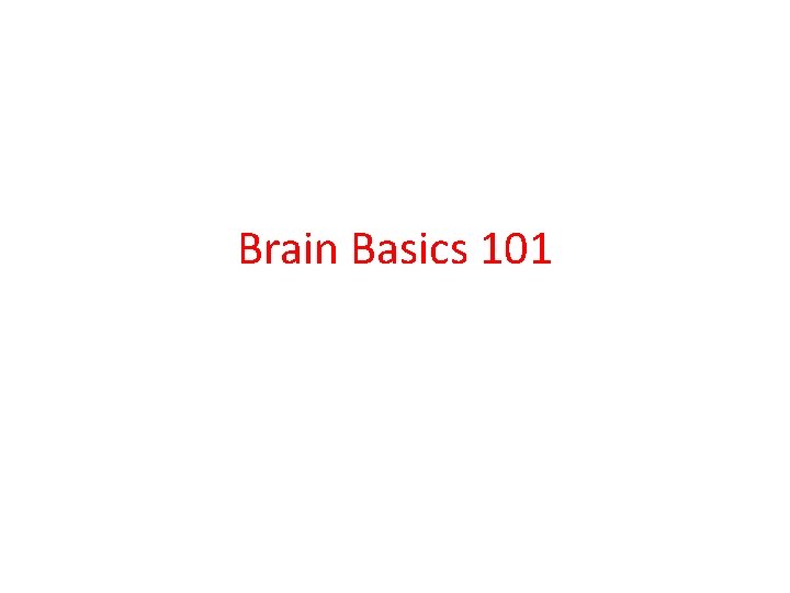 Brain Basics 101 