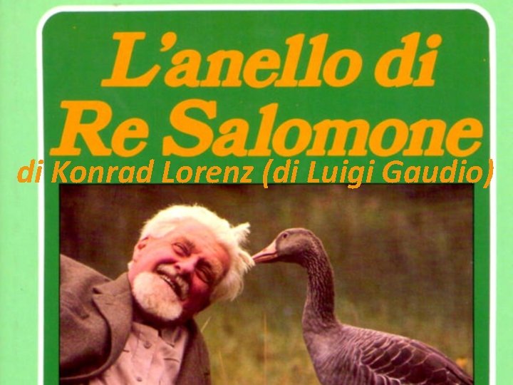 di Konrad Lorenz (di Luigi Gaudio) 