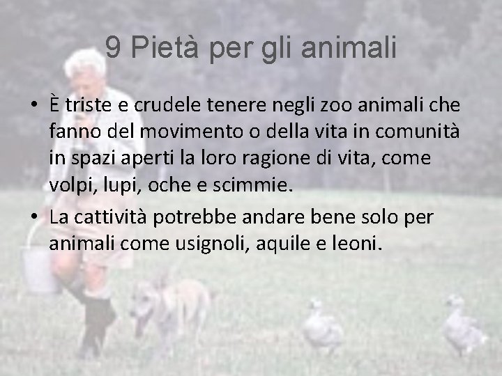 9 Pietà per gli animali • È triste e crudele tenere negli zoo animali