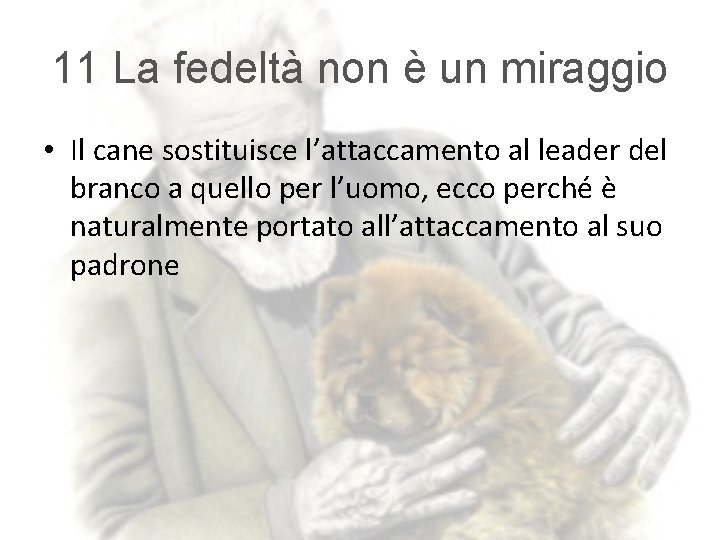 11 La fedeltà non è un miraggio • Il cane sostituisce l’attaccamento al leader