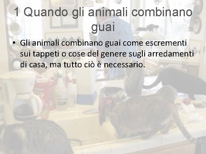 1 Quando gli animali combinano guai • Gli animali combinano guai come escrementi sui