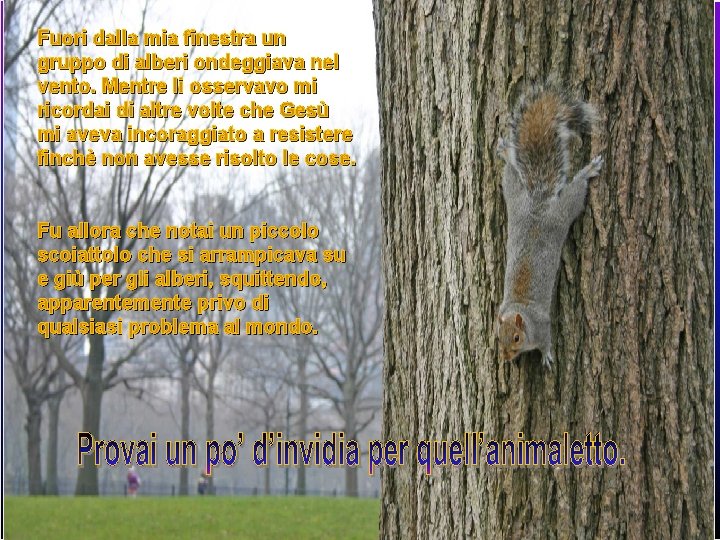 Fuori dalla mia finestra un gruppo di alberi ondeggiava nel vento. Mentre li osservavo