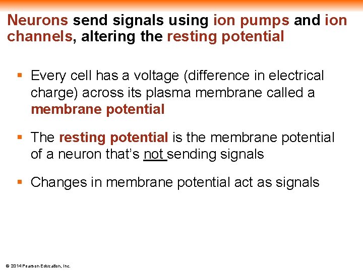 Neurons send signals using ion pumps and ion channels, altering the resting potential §