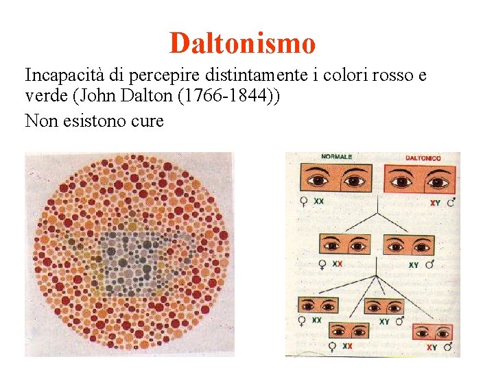 Daltonismo Incapacità di percepire distintamente i colori rosso e verde (John Dalton (1766 -1844))