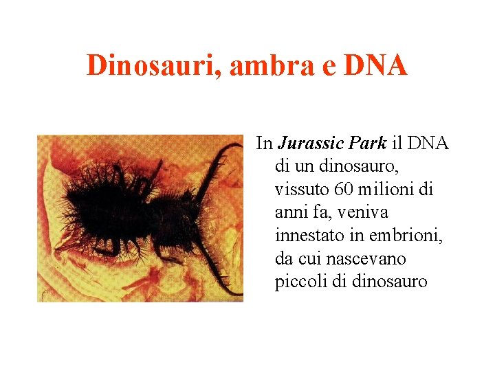 Dinosauri, ambra e DNA In Jurassic Park il DNA di un dinosauro, vissuto 60