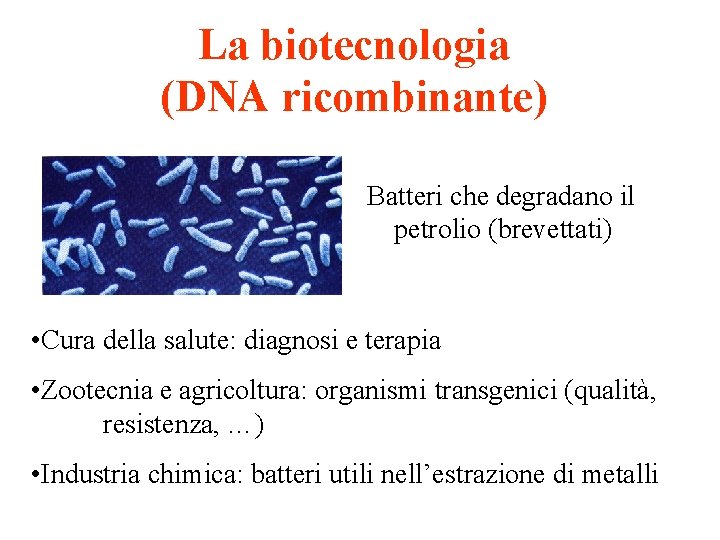 La biotecnologia (DNA ricombinante) Batteri che degradano il petrolio (brevettati) • Cura della salute: