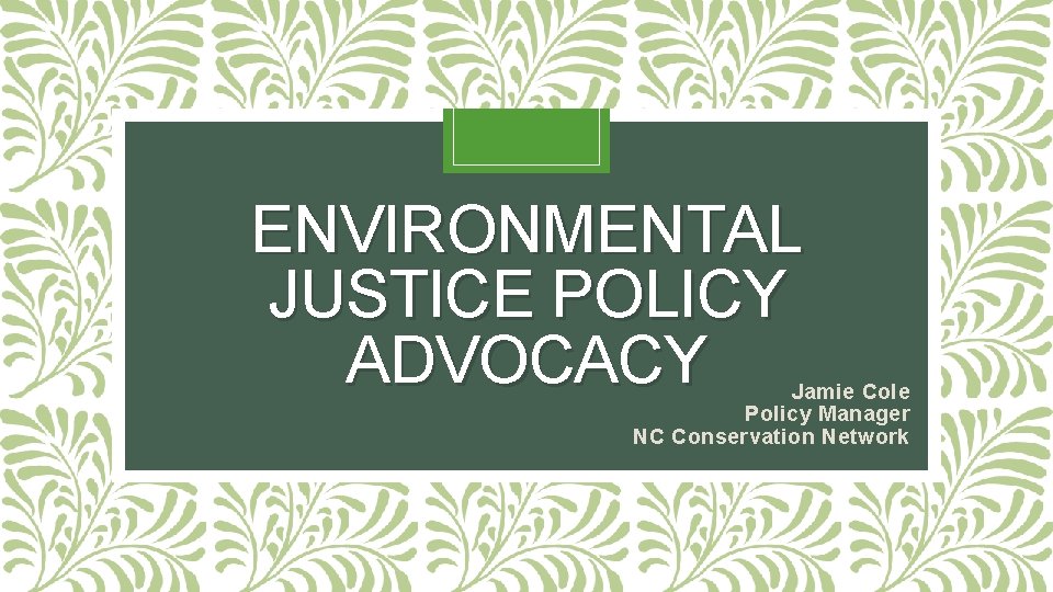 ENVIRONMENTAL JUSTICE POLICY ADVOCACY Jamie Cole Policy Manager NC Conservation Network 