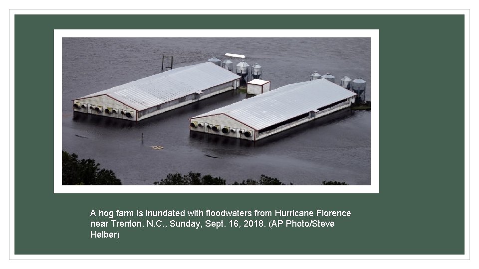 A hog farm is inundated with floodwaters from Hurricane Florence near Trenton, N. C.