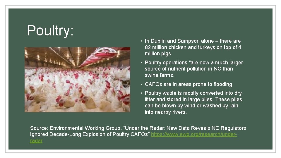 Poultry: • In Duplin and Sampson alone – there are 82 million chicken and