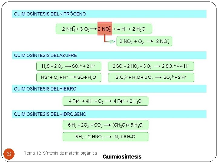 22 Tema 12: Síntesis de materia orgánica Quimiosíntesis 