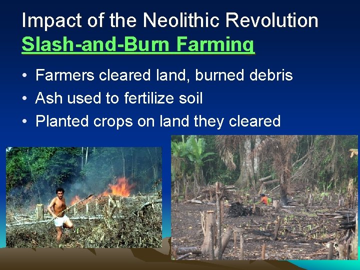 Impact of the Neolithic Revolution Slash-and-Burn Farming • Farmers cleared land, burned debris •