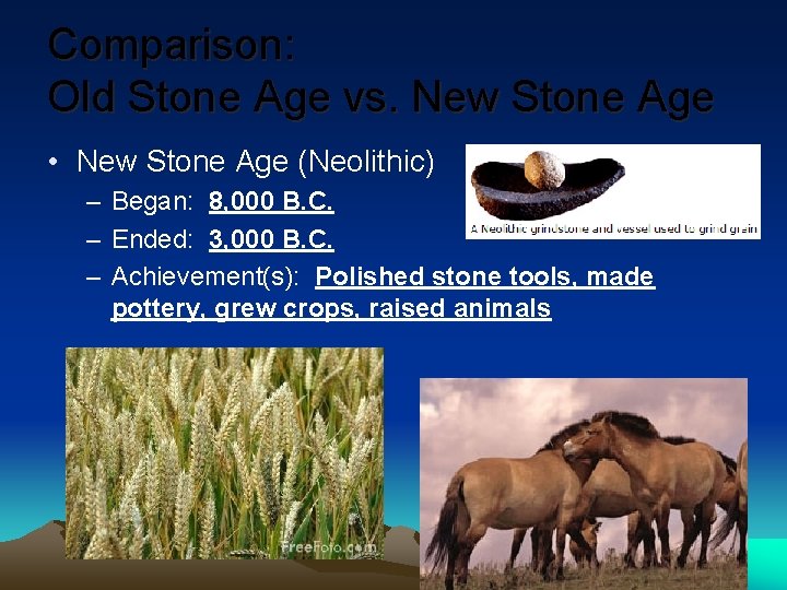 Comparison: Old Stone Age vs. New Stone Age • New Stone Age (Neolithic) –