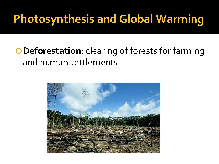 Photosynthesis and Global Warming Deforestation: clearing of forests for farming and human settlements 