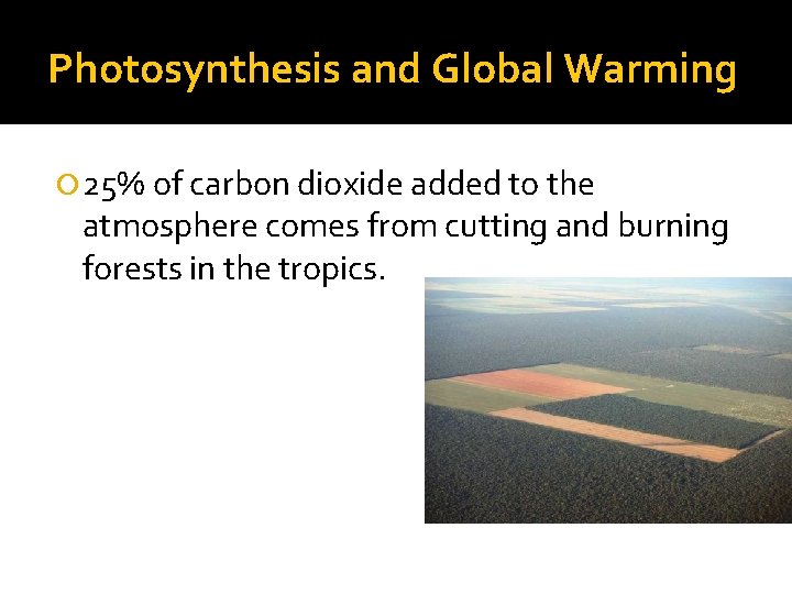 Photosynthesis and Global Warming 25% of carbon dioxide added to the atmosphere comes from