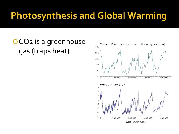 Photosynthesis and Global Warming CO 2 is a greenhouse gas (traps heat) 