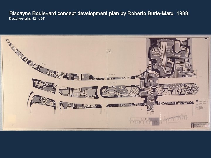 Biscayne Boulevard concept development plan by Roberto Burle-Marx. 1988. Diazotype print, 42” x 54” Biscayne Boulevard concept development plan by Roberto Burle-Marx. 1988. Diazotype print, 42” x 54”