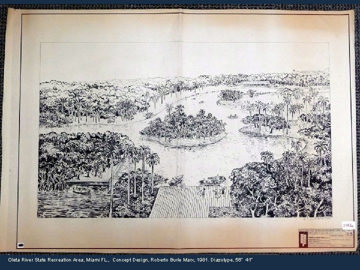 Oleta River State Recreation Area, Miami FL. , Concept Design, Roberto Burle Marx, 1981. Oleta River State Recreation Area, Miami FL. , Concept Design, Roberto Burle Marx, 1981.
