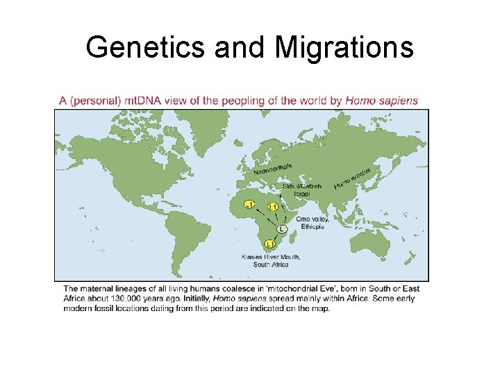 Genetics and Migrations Genetics and Migrations