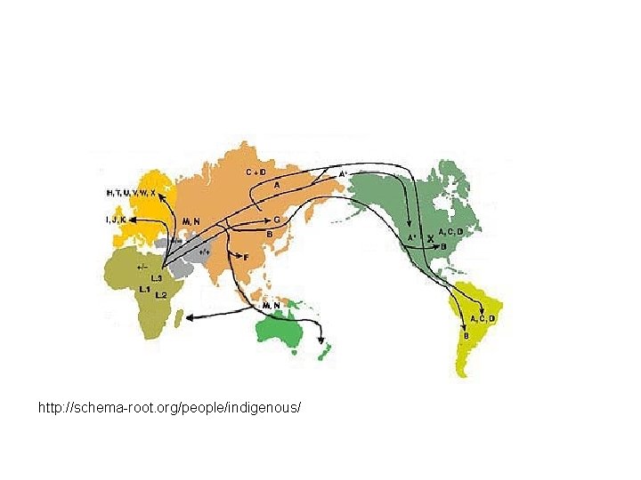 http: //schema-root. org/people/indigenous/ http: //schema-root. org/people/indigenous/