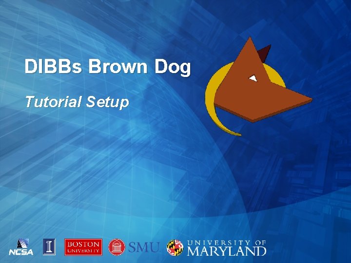 DIBBs Brown Dog Tutorial Setup 