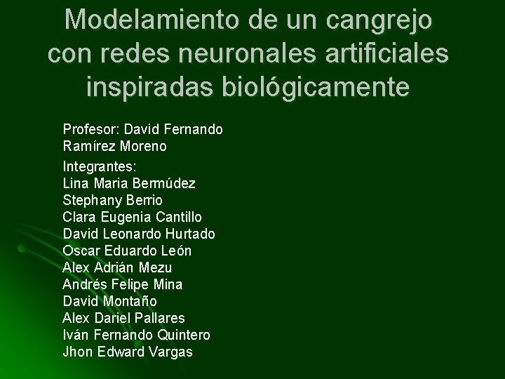 Modelamiento de un cangrejo con redes neuronales artificiales inspiradas biológicamente Profesor: David Fernando Ramírez