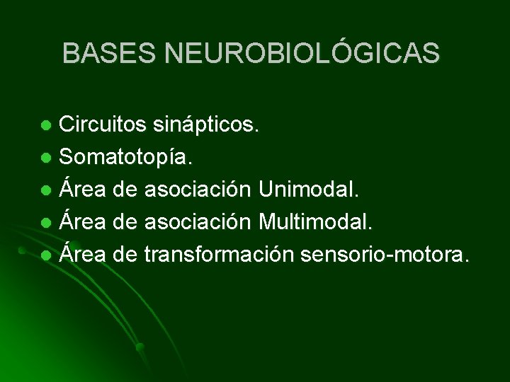 BASES NEUROBIOLÓGICAS Circuitos sinápticos. l Somatotopía. l Área de asociación Unimodal. l Área de