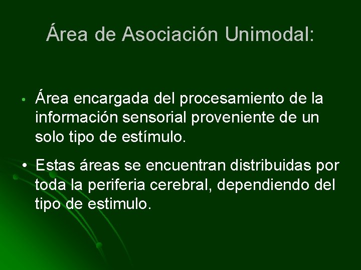 Área de Asociación Unimodal: • Área encargada del procesamiento de la información sensorial proveniente